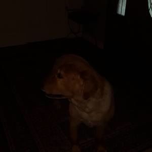 Meet your Posher, Ben